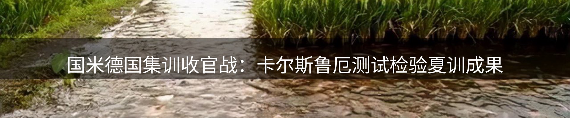 新闻中心