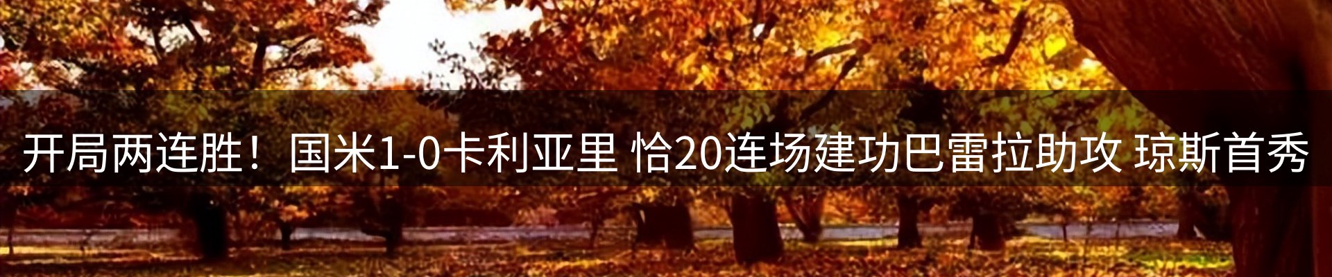 焦点观察
