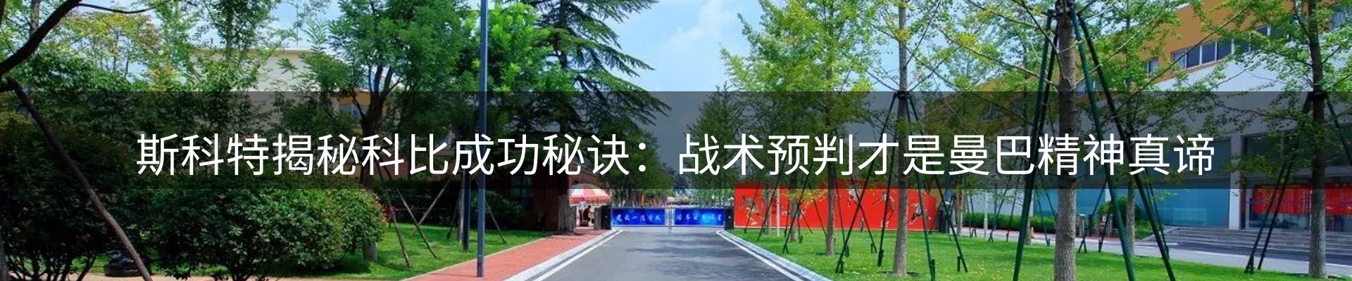 焦点观察