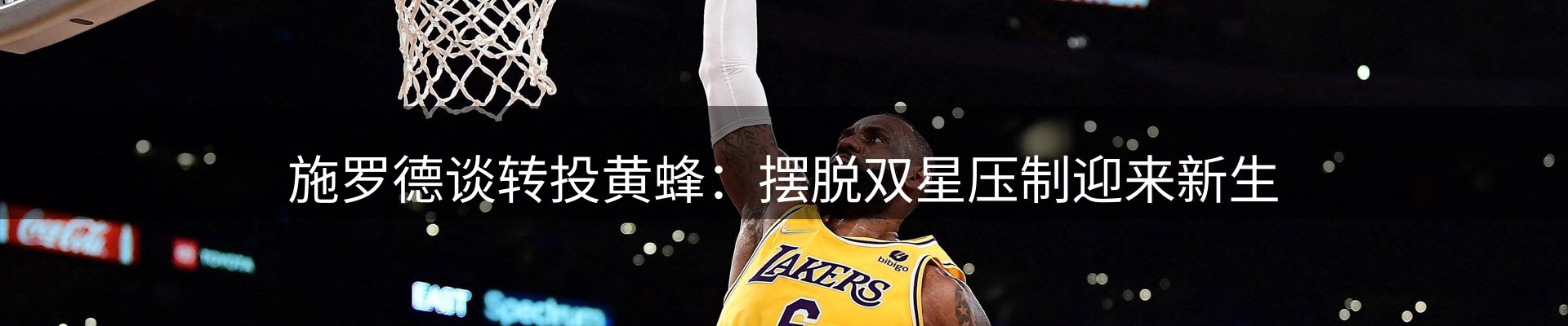焦点观察