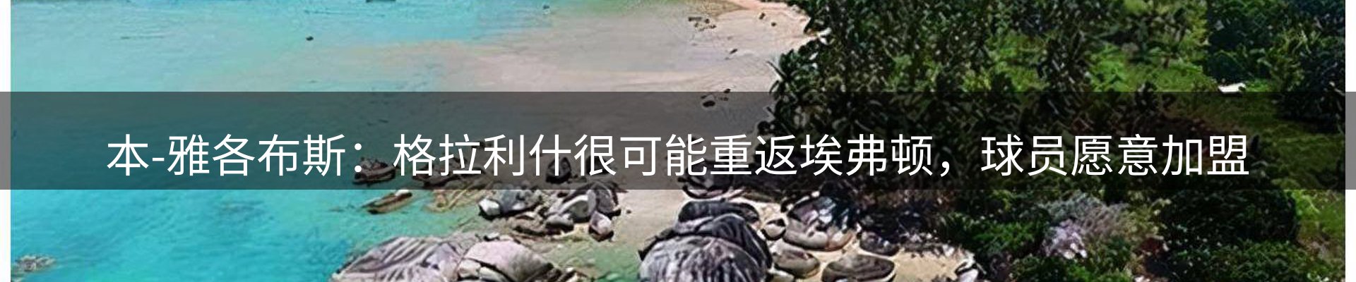 焦点观察
