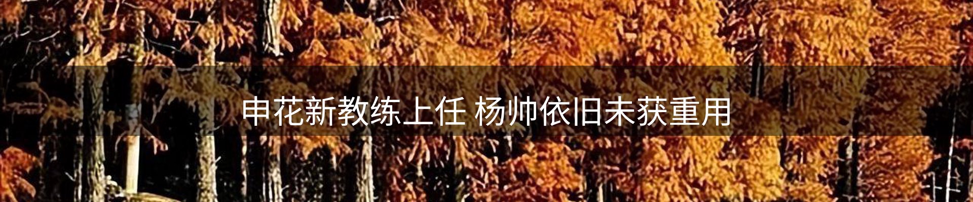焦点观察