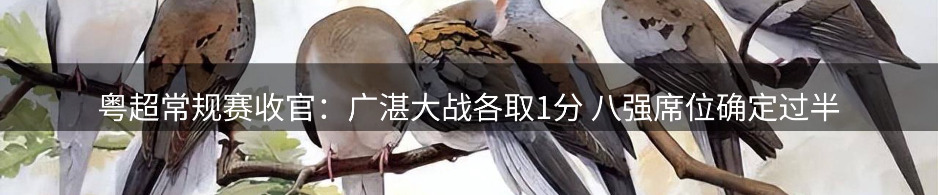 新闻中心