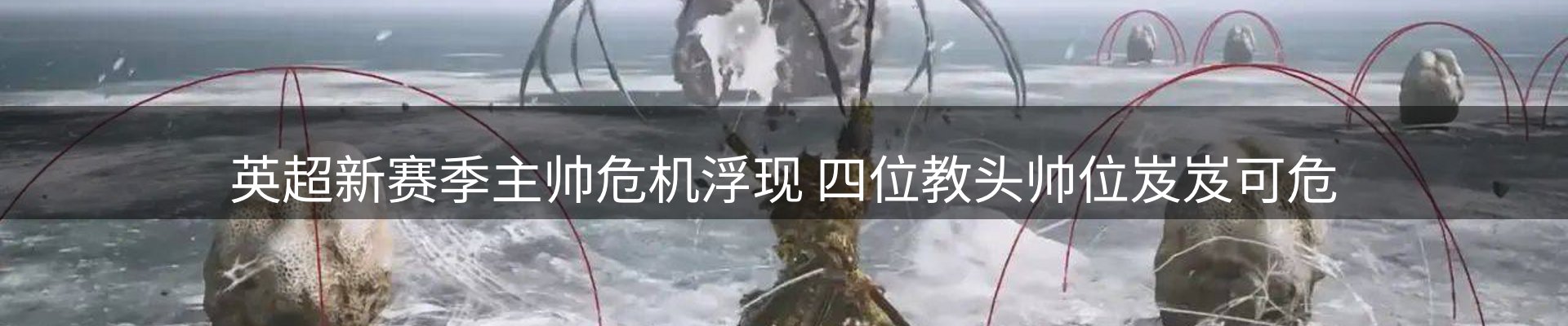 焦点观察