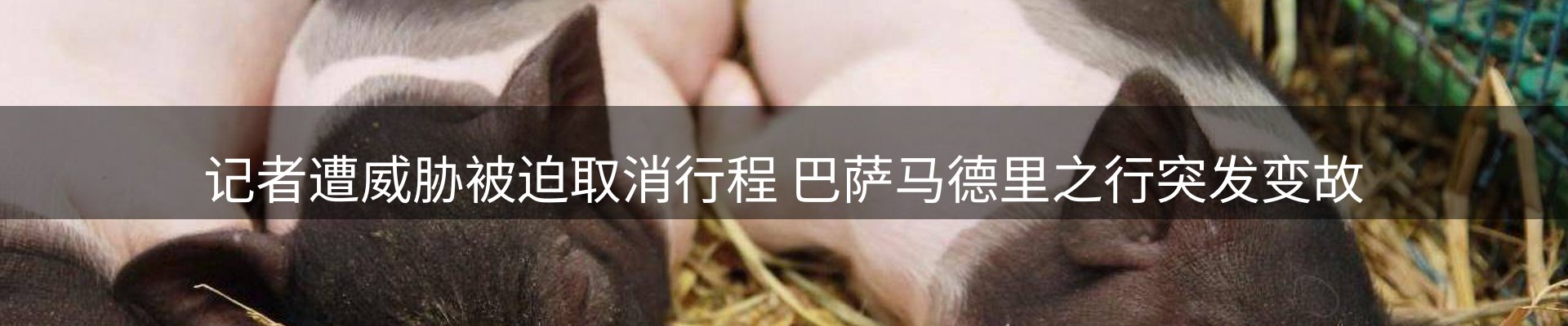 新闻中心