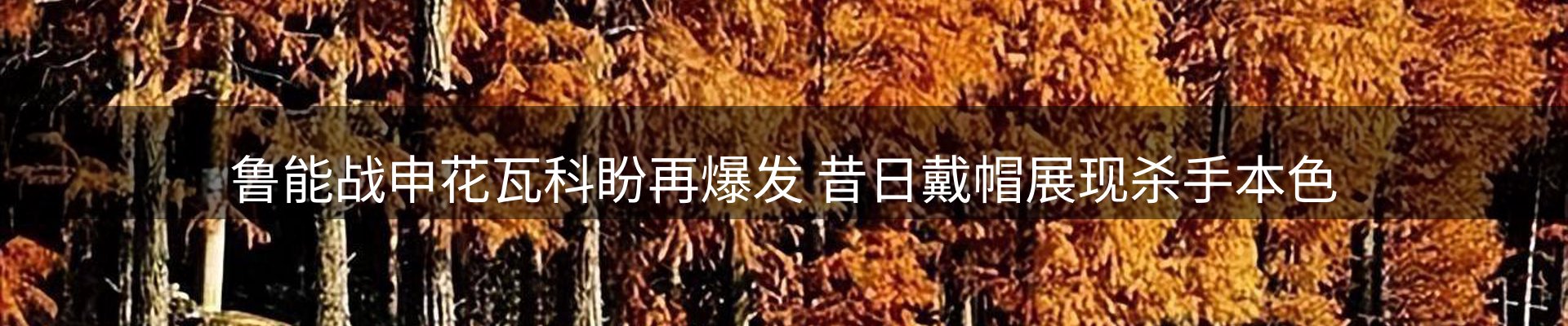 焦点观察